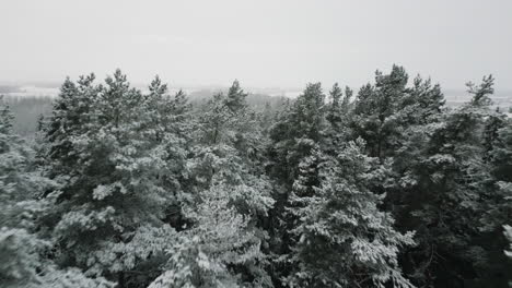 Valdemārpils-De-Letonia-En-El-Mes-De-Diciembre.