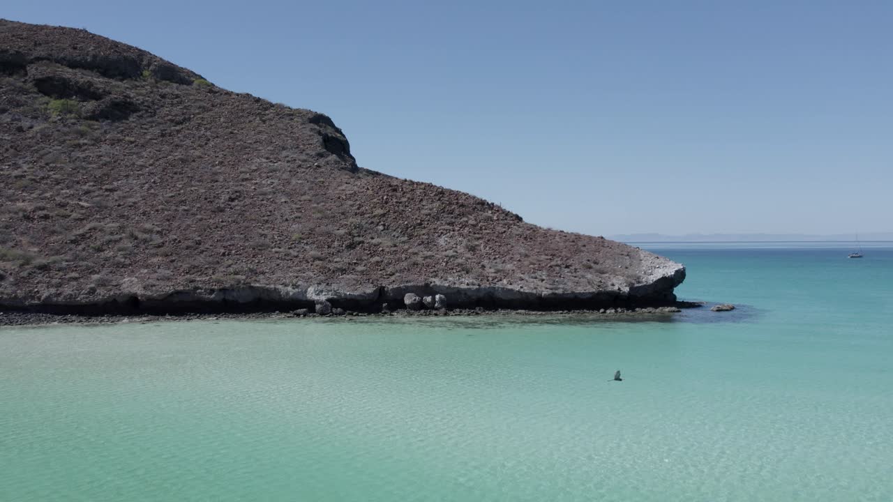 lateral drone view of a bird flight at a Balandra Beach in BCS Mexico