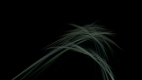 flying gray lines abstract loop motion background