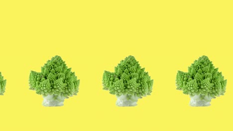 many fresh and green romanesco broccoli close-up rotating above a yellow background, stop motion animation. seamless looping of realistic 3d food