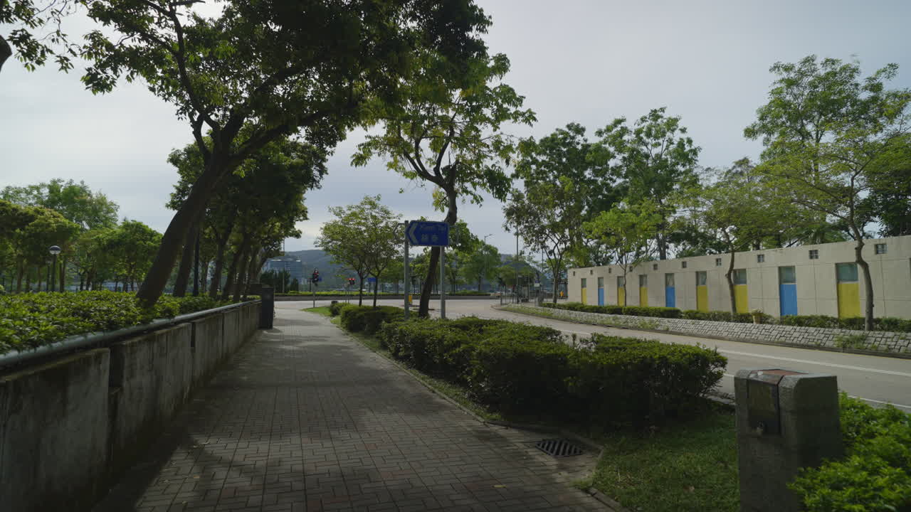 Forest Retreat: Calming Walk through Hong Kong's Greenery and Towering Trees
