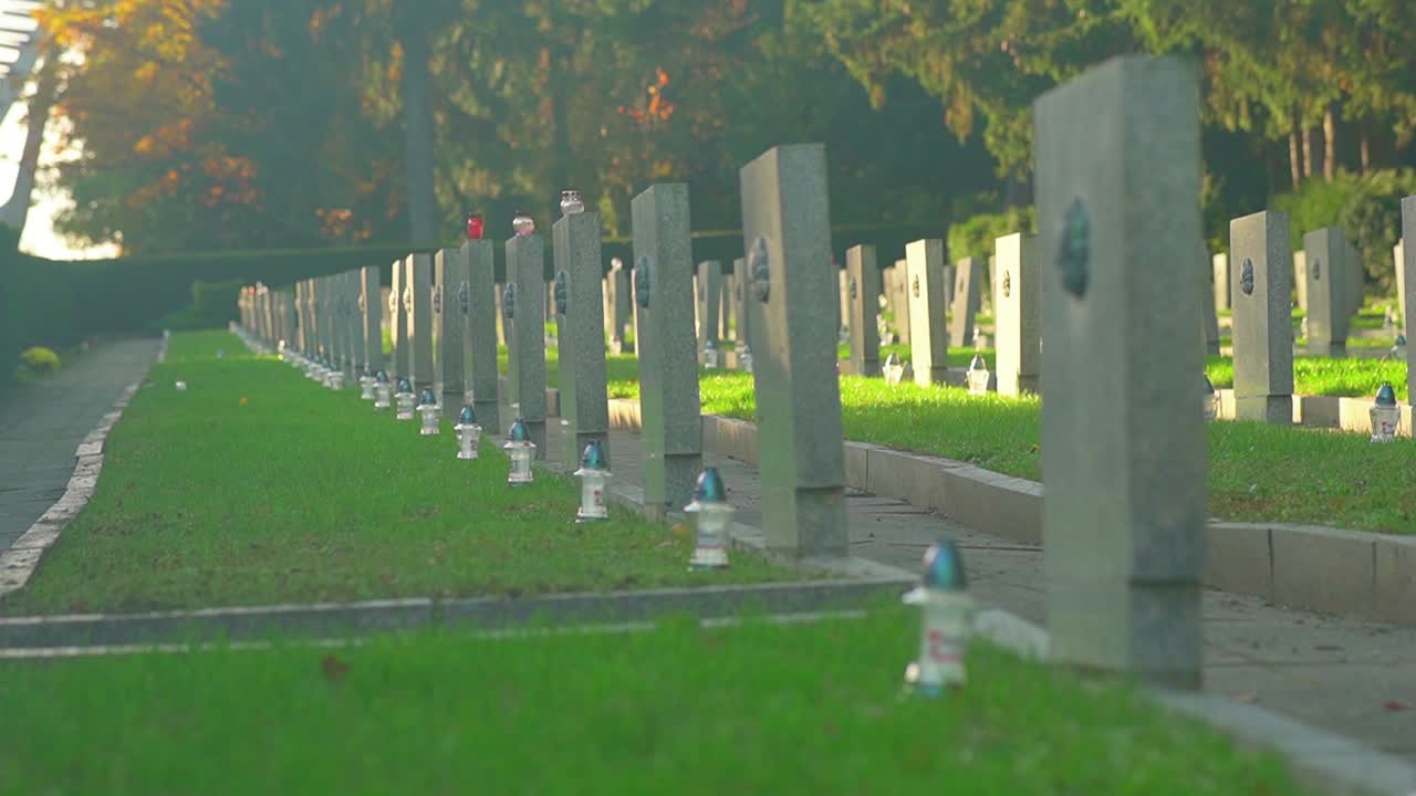 폴란드 슈체친(szczecin)에 있는 멋진 도시 카스프로비츠 공원(kasprowicz park)은 푸른 잔디로 둘러싸인 폴란드 - 낮에는 나무 - 와이드 샷