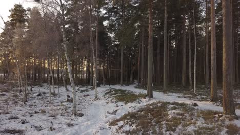 Frozen-lake-in-Falun,-Sweden-during-a-cold-winter-in-December,-filmed-with-a-drone