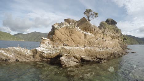 una colonia de cormoranes manchados sentados en una roca