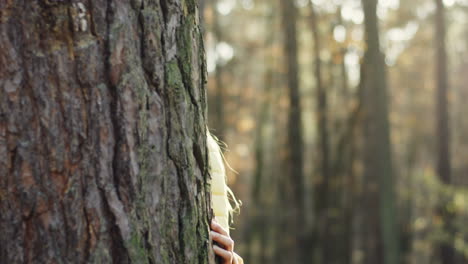 portrait shot of caucasian teen girl looking at camera behind a tree trunk in the forest