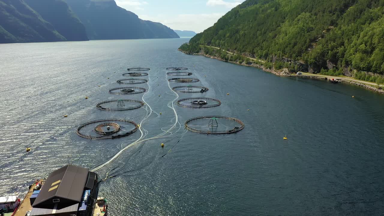 노르웨이에서 연어  ⁇ 시를 하는 공중 촬영