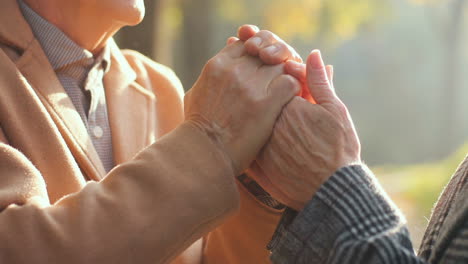 close up view of elderly man hands and woman hands joined at sunset in the park in autumn