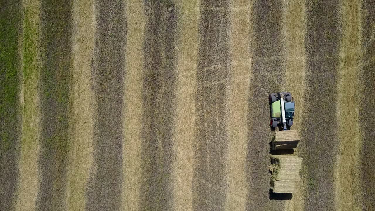 Trattore che scarica grano fresco. Macchinari agricoli che espellono una balla di fieno in una giornata di sole.