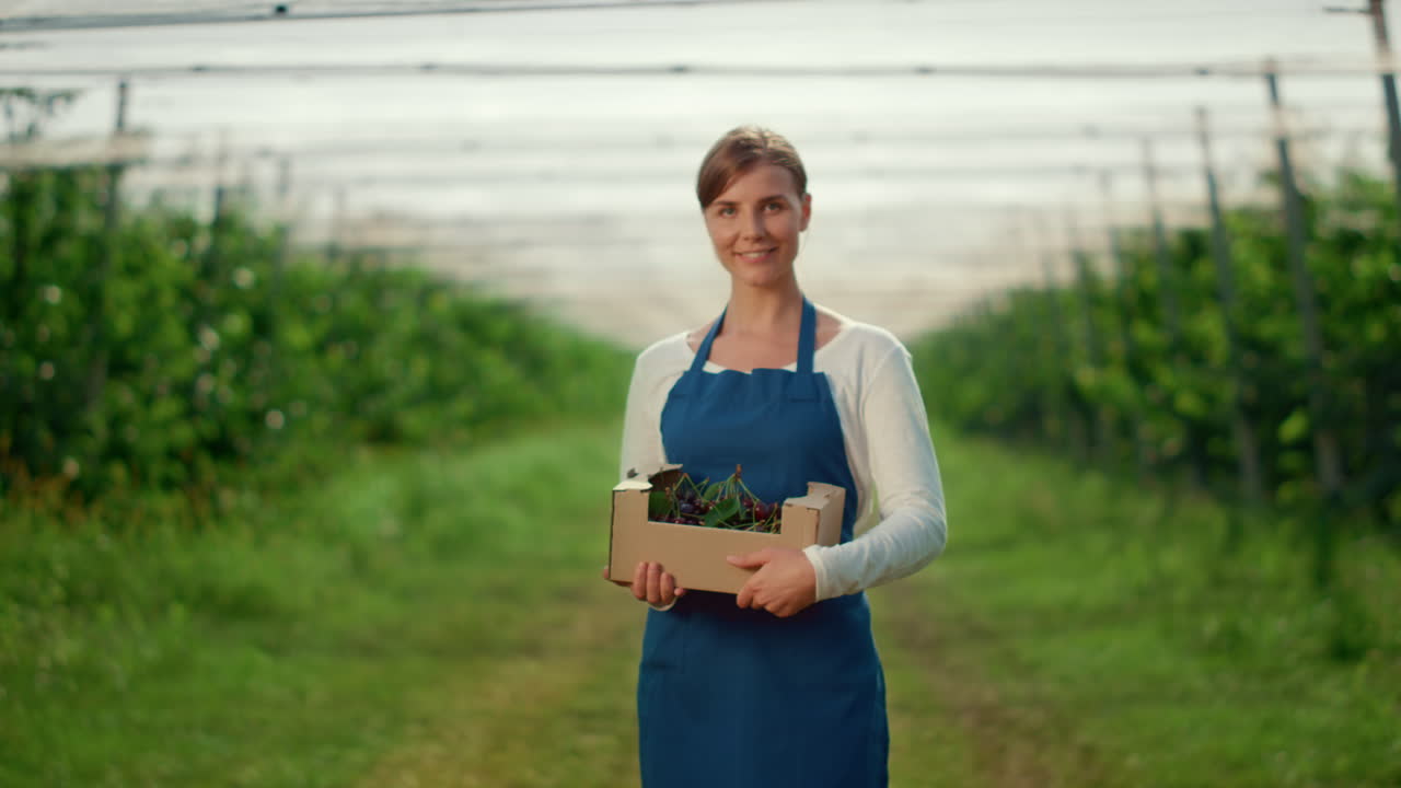 mujer jardinera presentando caja de cosecha con bayas en la plantación de agricultura soleada.
