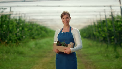 Mujer-De-Jardín-Presentando-Caja-De-Cosecha-Con-Bayas-En-Una-Soleada-Plantación-Agrícola.