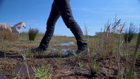 Agricultor-Caminando-Hacia-Sus-Caballos