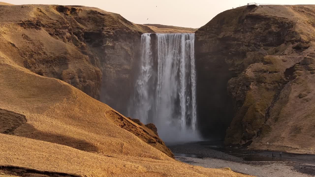 Majestic view of Skógafoss waterfall in Iceland with golden fields and rocky cliffs