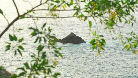 Waves-crashing-on-small-rocky-island,-framed-by-tree-leaves,-Tenerife