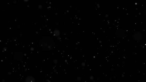 dust particles in black background. abstract background