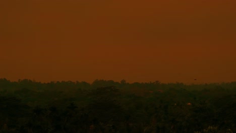 La-Hora-Mágica:-Siluetas-Y-Puesta-De-Sol-En-La-Selva-Tropical-De-Bangladesh