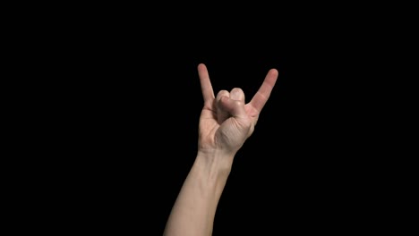 hand shaking the rock and roll symbol (wide)