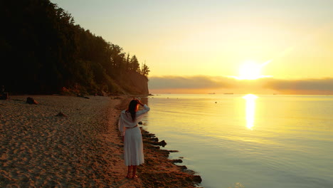 rear of a lone woman in dress at the seashore during dusk