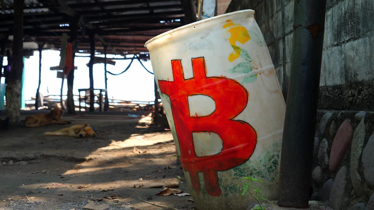 Inquadratura a fuoco pieno, un tamburo bianco con un logo Bitcoin rosso sul lato della capanna sulla spiaggia Bitcoin a El Salvador, Messico, un cane che dorme al centro della capanna.