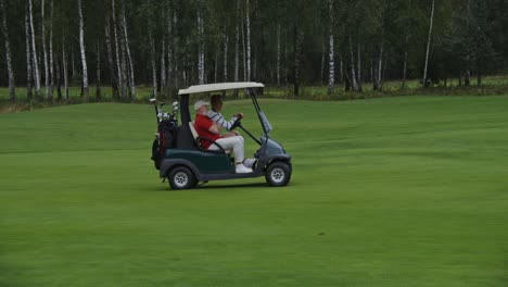 golfers in a cart on a golf course