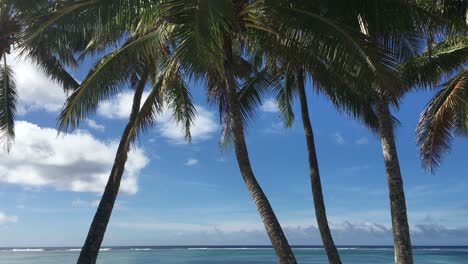 las islas rarotonga cook
