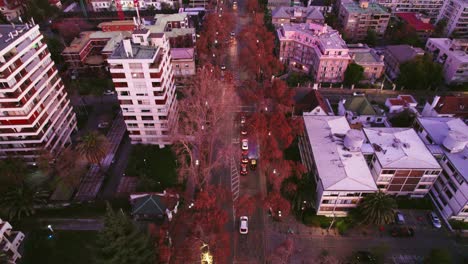 Dolly-in-aerial-view-of-a-main-road-with-autumn-trees-with-high-vehicular-traffic-with-a-purple-tinge-in-the-golden-hour-Santiago-Chile