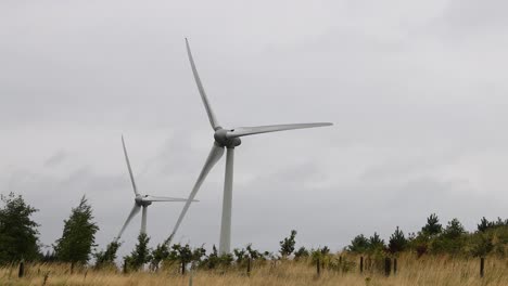 turbinas eólicas que giran en un campo de hierba