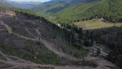deforestación de bosques de colinas en rumania, europa central - resultado aéreo de drones volando inclinados