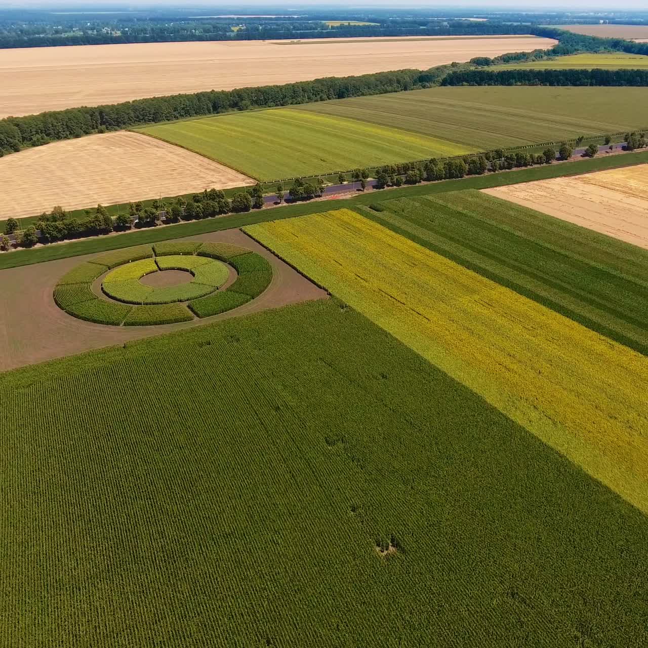 Straight rows of different plants grown at the farmlands. All shades of greenery planted in a round garden. Blue sky and green horizon at backdrop