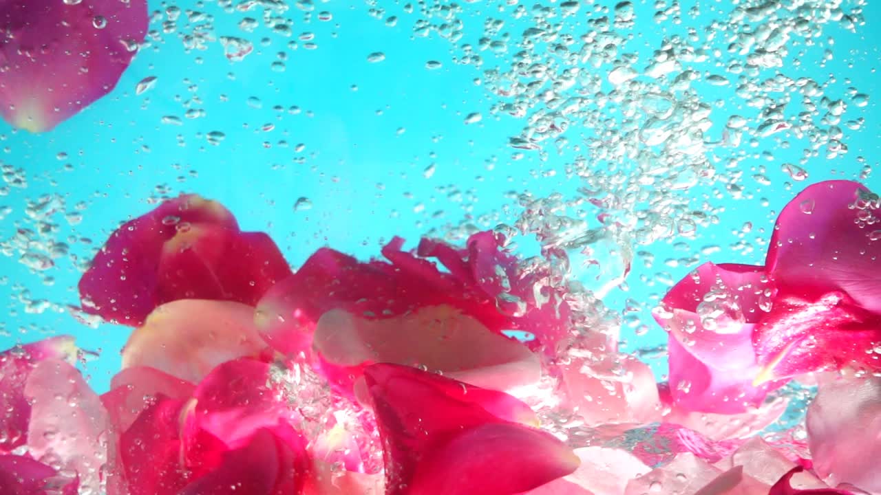 Petali di rose cadono nell'acqua. Sfondo. Movimento rallentato.