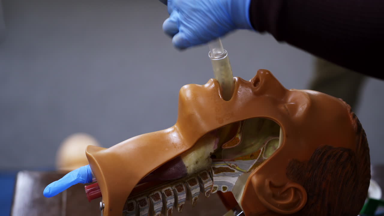 Practical course on a dummy's head. Student trying medical exercise at giving a resuscitation on a mannequin in the training center. Close-up.