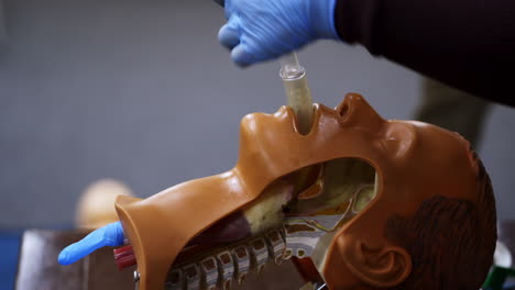 practical course on a dummy's head. student trying medical exercise at giving a resuscitation on a mannequin in the training center. close-up.