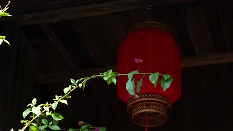traditional chinese red lanterns hanging from wooden ceiling. fenghuang, china