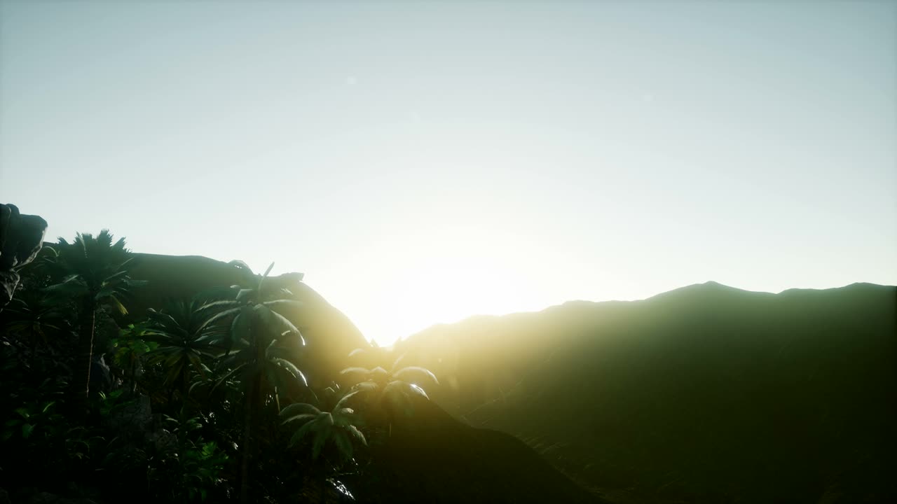 ⁇ 나무 를 가로지르는 해 가 지는 광선