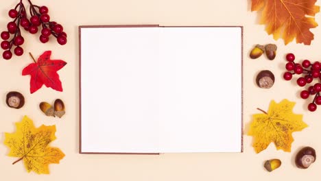 Autumn composition with autumn decoration appear on left and right side and book open in the middle for text. Stop motion