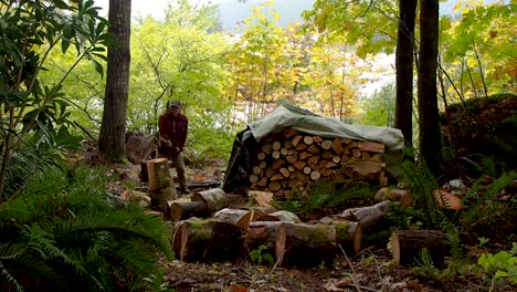 Brennholz-In-Einem-Regenwald-In-BC-Mit-Einer-Axt-Hacken