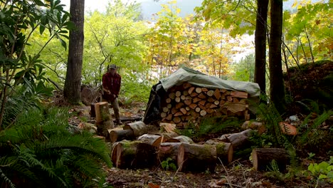 chopping firewood in a rainforest in bc with an axe