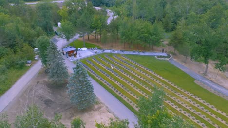 aerial of a revel of a new small lavender field during a summer day