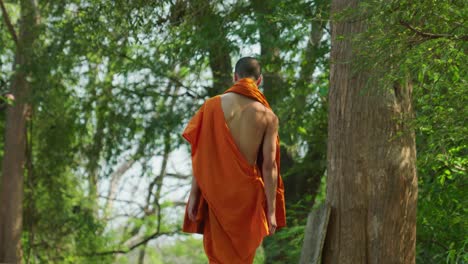 4k cinematic portrait travel footage of a young buddhist monk walking on a wall in slow motion at wat umong in chiang mai, north thailand on a sunny day