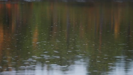 Serene-beauty-of-rain-as-droplets-gently-fall,-creating-mesmerizing-ripples-on-the-surface-of-the-water,-a-tranquil-symphony-of-nature's-delicate-touch