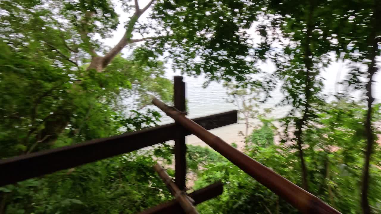 울창 한 정글 풍경 을 가로질러 나무 계단 을 올라가는 것