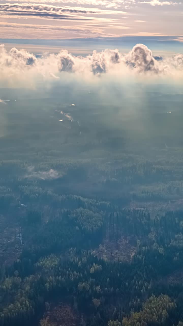 Above forest and clouds with sunlight breaking through misty morning air, vertical