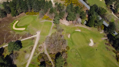 aerial top view of green grass and trees on a golf field