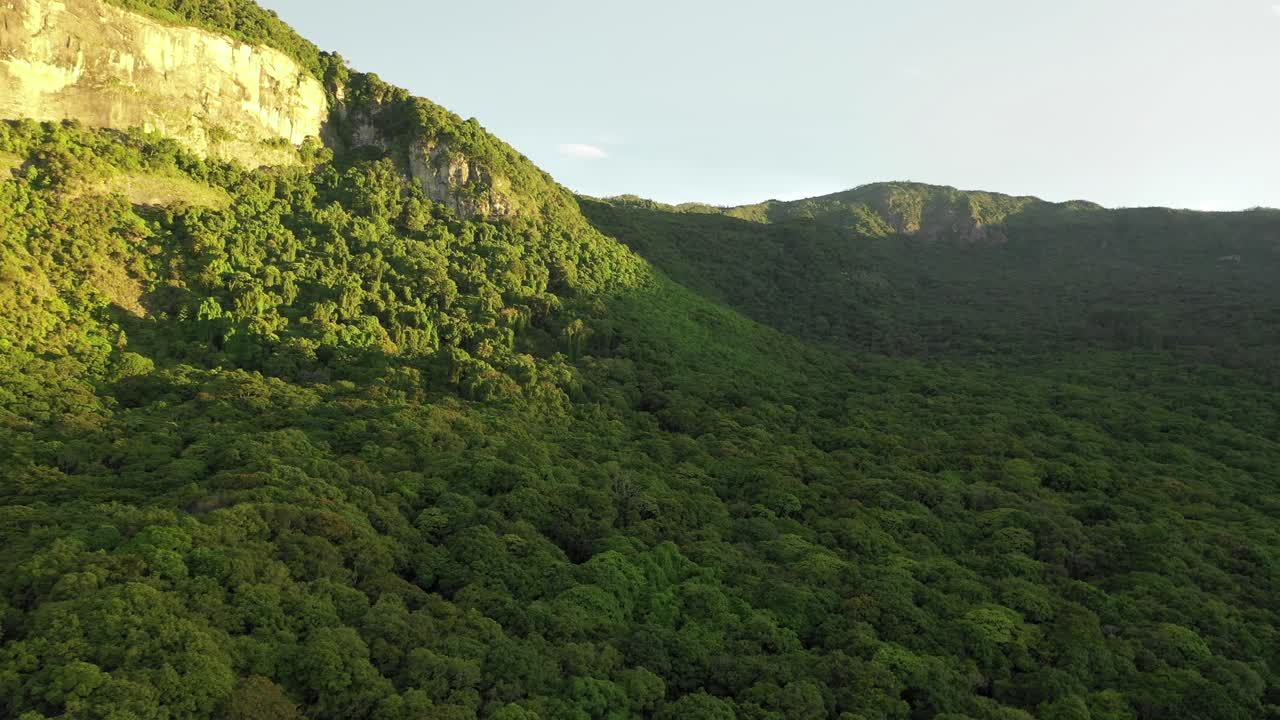 una toma aérea de la selva tropical en ghat occidental