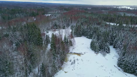 Vista-Aérea-Del-Paisaje-Del-País-De-Las-Maravillas-Del-Bosque-Invernal-Congelado