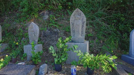 japanese jizo guardian statues outside by seaside on sunny day