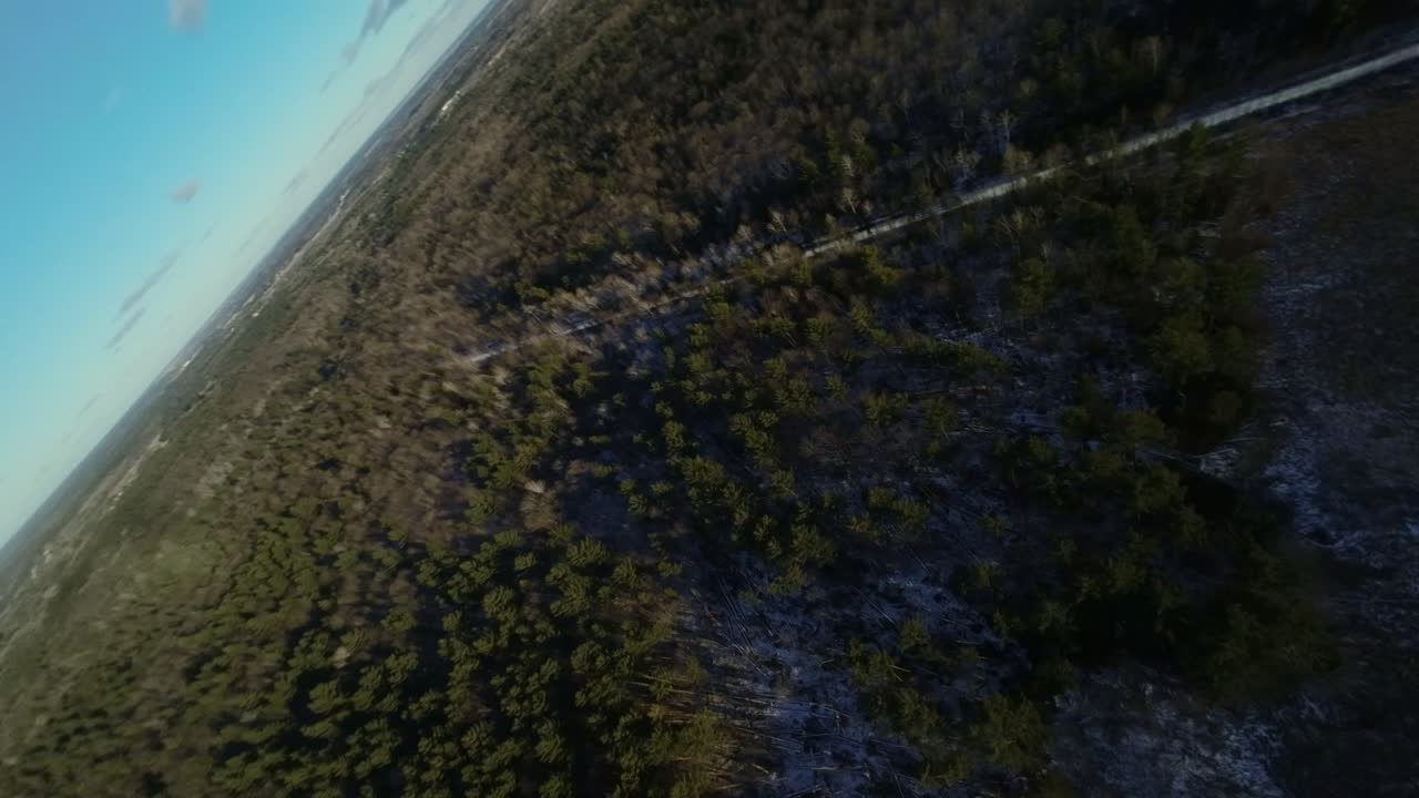 FPV drone shot of forest land tall pine trees and barren patches after forest fire at sunset
