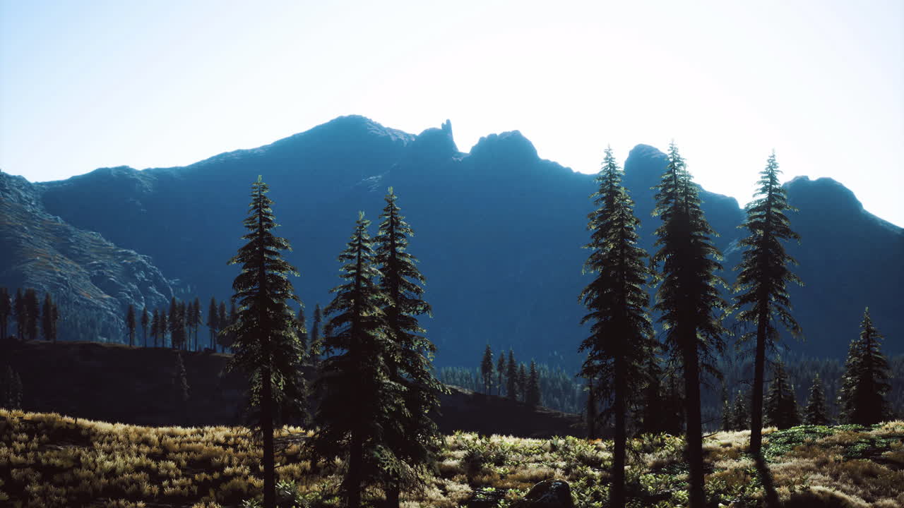 Mountains loom over a tranquil valley filled with tall evergreen trees
