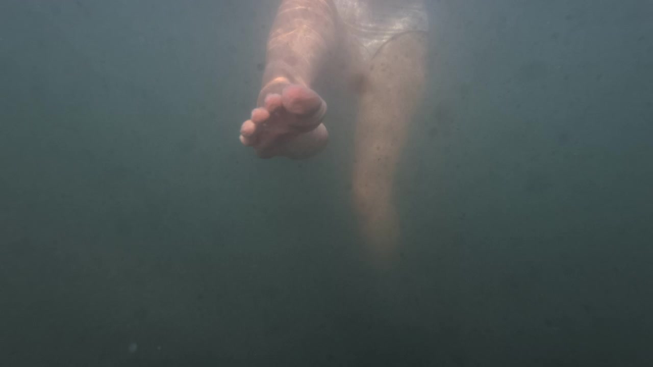Underwater close-up of a swimmer's legs and feet in murky green water, Golfe-Juan, France