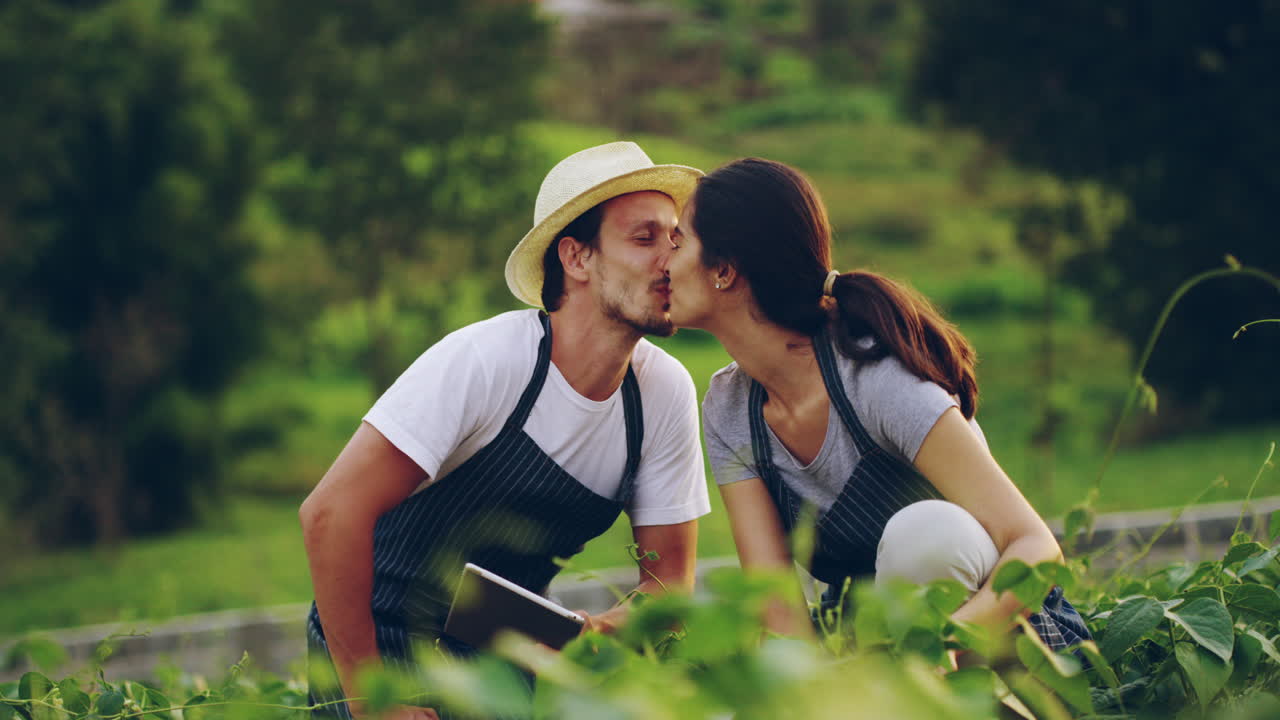 농장에서 조금 재미를 느끼고 있습니다.