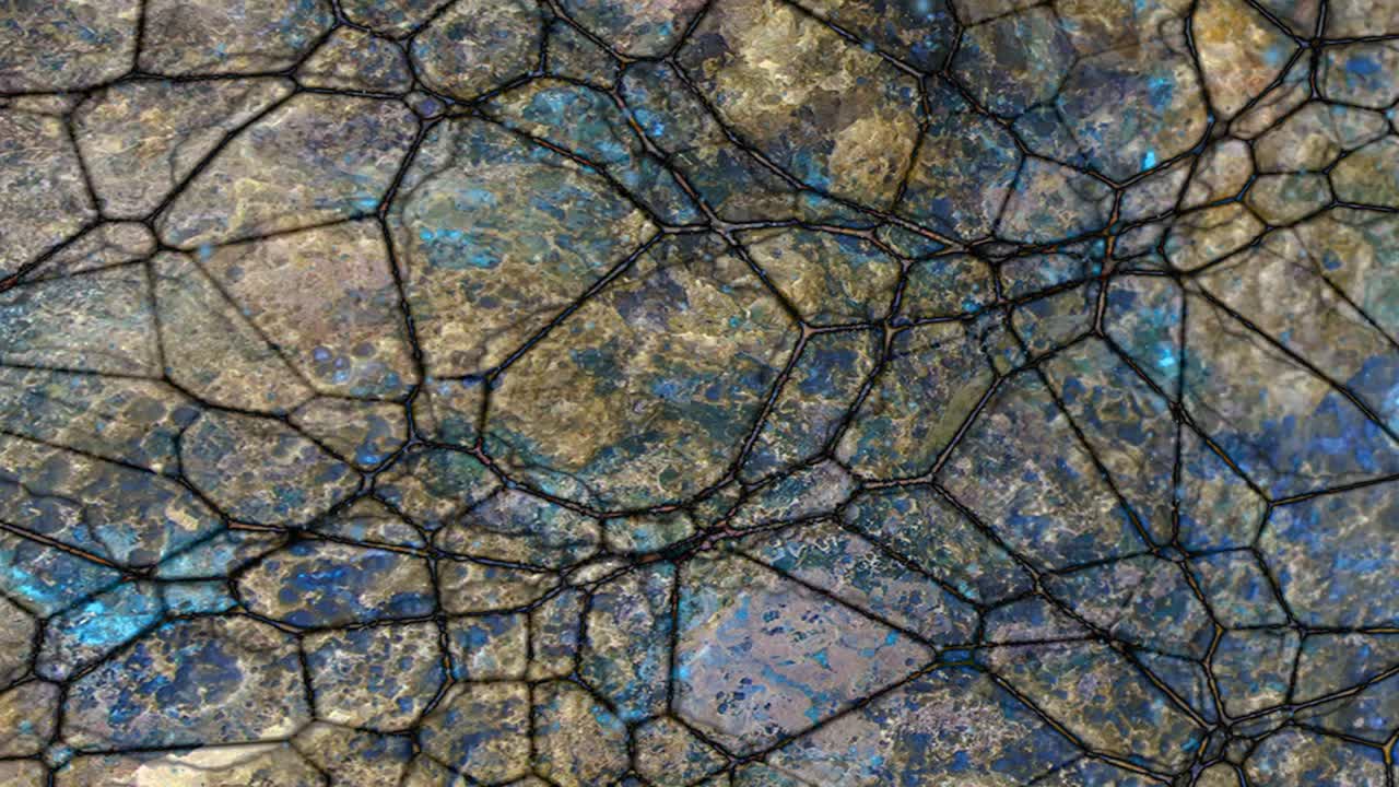 animación abstractamente colorida con un fondo líquido multicolor.